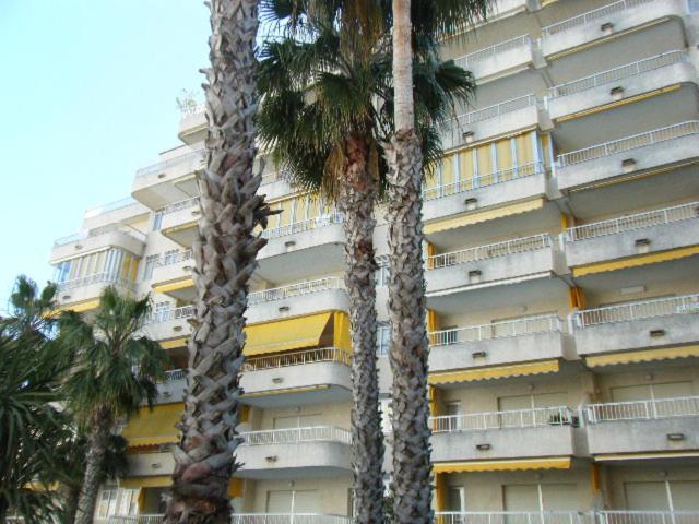 Apartamentos Marblau Varios 2 y 3 dormitorios - Julio y Agosto SOLO FAMILIAS Playa de Gandía Exterior foto